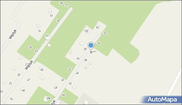Wężyk, Wężyk, 36, mapa Wężyk
