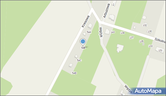 Wężyk, Wężyk, 54B, mapa Wężyk