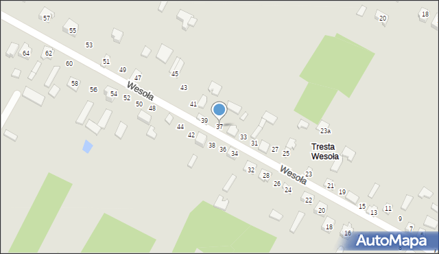 Żarnów, Wesoła, 37, mapa Żarnów