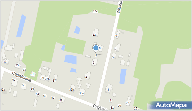Zelów, Wesoła, 8, mapa Zelów