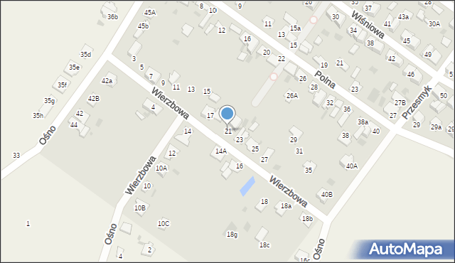 Aleksandrów Kujawski, Wierzbowa, 21, mapa Aleksandrów Kujawski