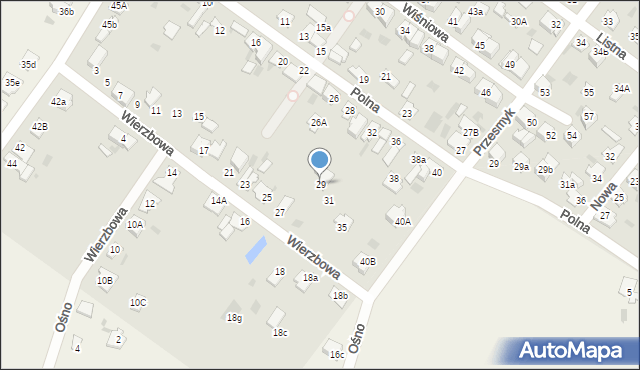 Aleksandrów Kujawski, Wierzbowa, 29, mapa Aleksandrów Kujawski