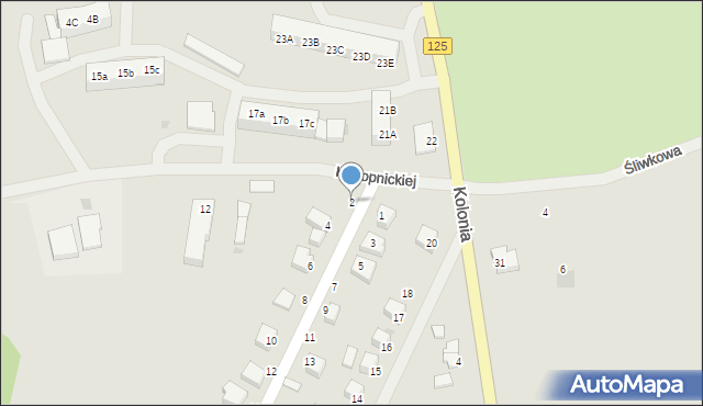 Cedynia, Willowa, 2, mapa Cedynia