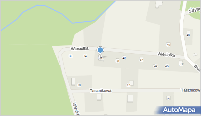 Czapielsk, Wiesiołka, 36, mapa Czapielsk