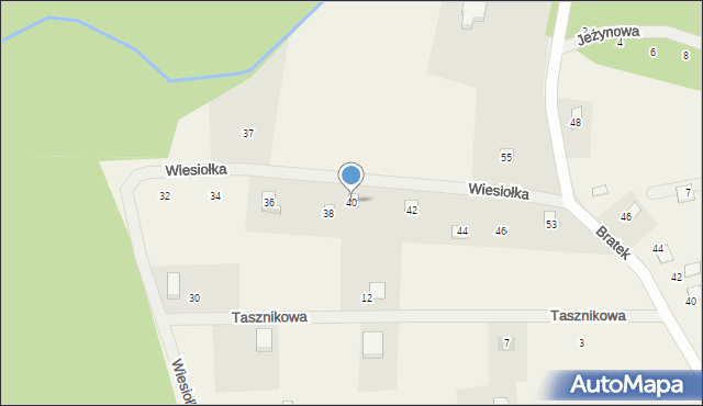 Czapielsk, Wiesiołka, 40, mapa Czapielsk