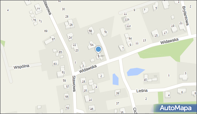 Dobrzykowice, Widawska, 5, mapa Dobrzykowice