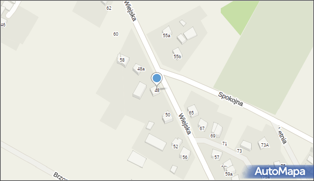 Dolice, Wiejska, 48, mapa Dolice