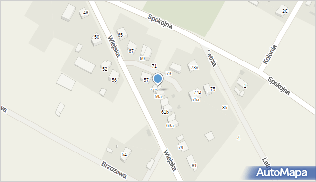 Dolice, Wiejska, 60a, mapa Dolice