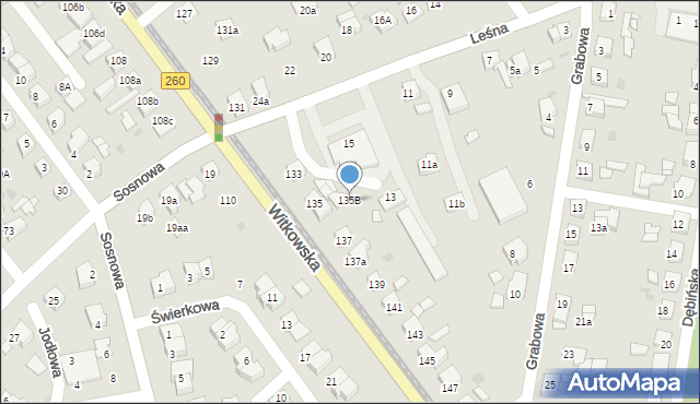 Gniezno, Witkowska, 135B, mapa Gniezna