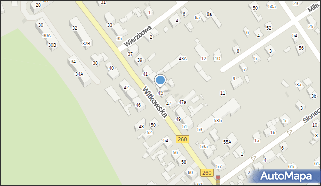 Gniezno, Witkowska, 45, mapa Gniezna