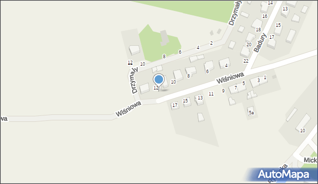 Goszcz, Wiśniowa, 12A, mapa Goszcz