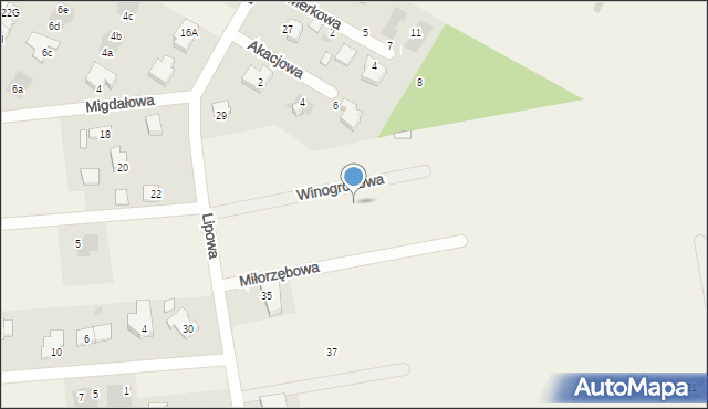 Kalinówka, Winogronowa, 6, mapa Kalinówka