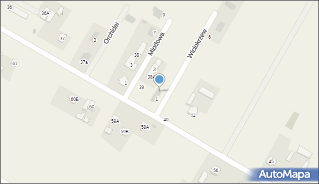 Kazimierzówka, Wiciokrzew, 3, mapa Kazimierzówka