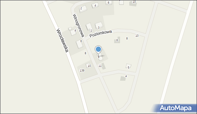 Koskowice, Winogronowa, 9, mapa Koskowice