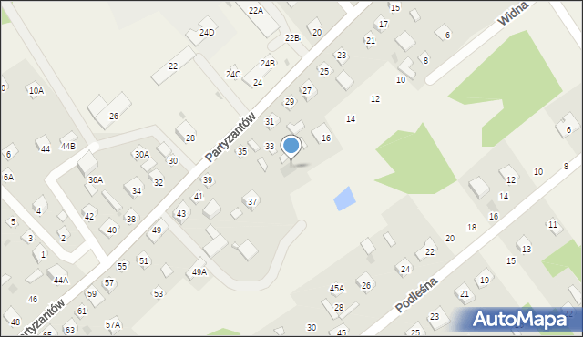 Leoncin, Widna, 18, mapa Leoncin