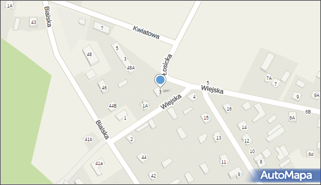 Leśna Podlaska, Wiejska, 3, mapa Leśna Podlaska