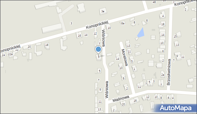 Ozorków, Wiśniowa, 3, mapa Ozorków