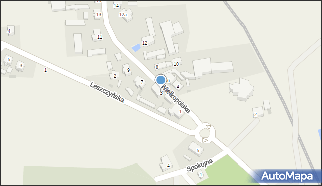 Pawłowice, Wielkopolska, 3, mapa Pawłowice