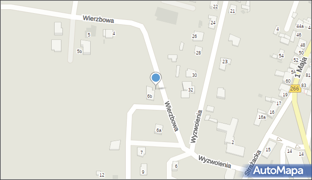 Piotrków Kujawski, Wierzbowa, 1, mapa Piotrków Kujawski