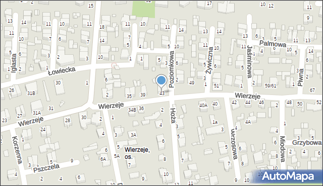 Piotrków Trybunalski, Wierzeje, 43, mapa Piotrków Trybunalski