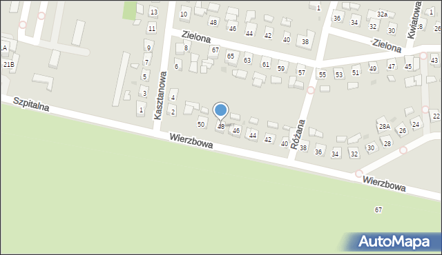 Pleszew, Wierzbowa, 48, mapa Pleszew
