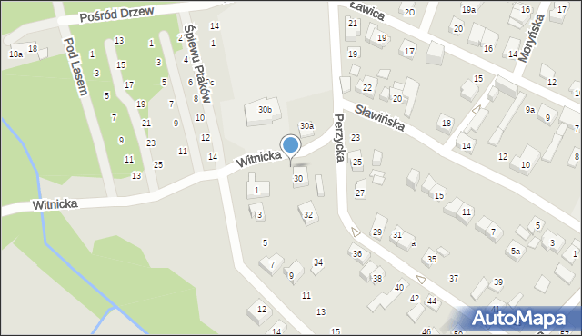 Poznań, Witnicka, 1, mapa Poznania