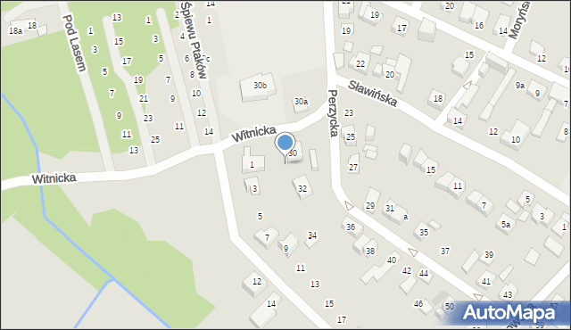 Poznań, Witnicka, 1b, mapa Poznania