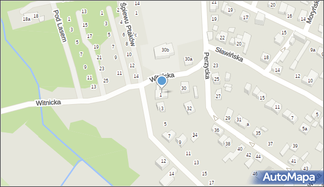 Poznań, Witnicka, 3, mapa Poznania