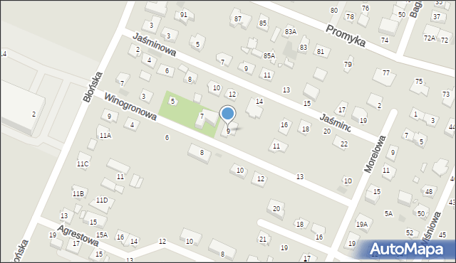 Pruszków, Winogronowa, 9, mapa Pruszków