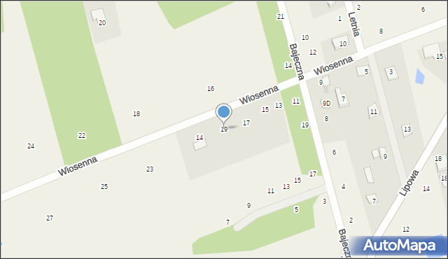 Pruszyn-Pieńki, Wiosenna, 19, mapa Pruszyn-Pieńki