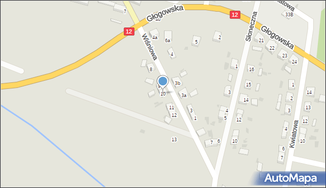 Przemków, Wiśniowa, 10, mapa Przemków