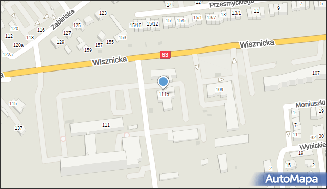 Radzyń Podlaski, Wisznicka, 111a, mapa Radzyń Podlaski