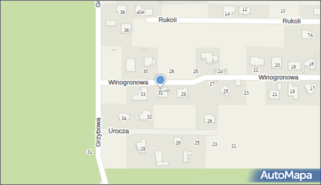 Rozalin, Winogronowa, 31, mapa Rozalin