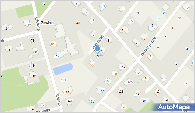 Rusiec, Winorośli, 5, mapa Rusiec