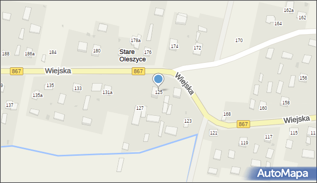 Stare Oleszyce, Wiejska, 125, mapa Stare Oleszyce