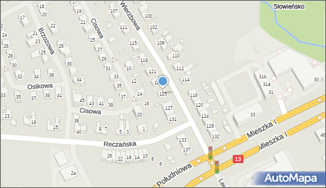 Szczecin, Wierzbowa, 125, mapa Szczecina