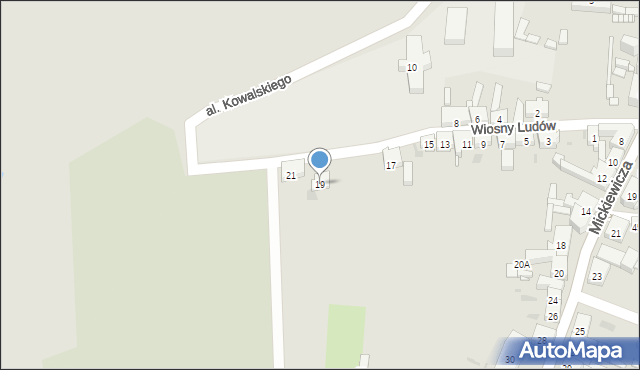 Trzemeszno, Wiosny Ludów, 19, mapa Trzemeszno
