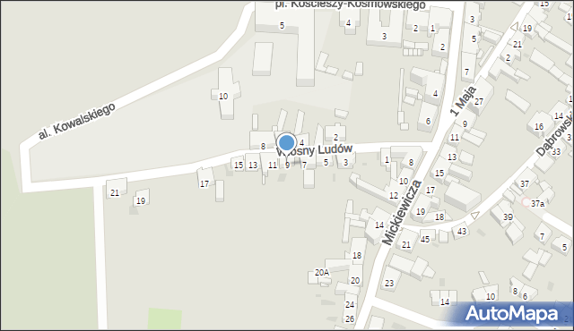 Trzemeszno, Wiosny Ludów, 9, mapa Trzemeszno