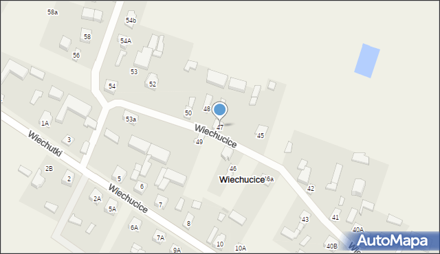 Wiechucice, Wiechucice, 47, mapa Wiechucice