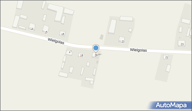 Wielgolas, Wielgolas, 19, mapa Wielgolas