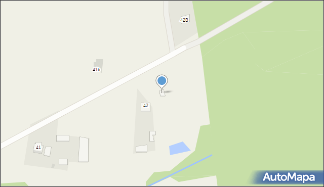 Wielgolas, Wielgolas, 42a, mapa Wielgolas