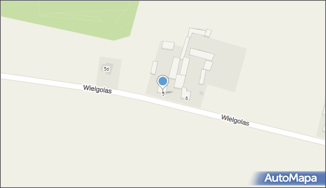 Wielgolas, Wielgolas, 5, mapa Wielgolas