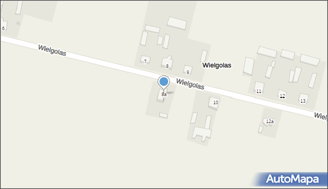 Wielgolas, Wielgolas, 8a, mapa Wielgolas