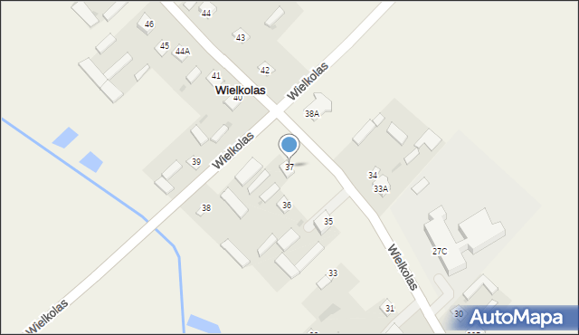 Wielkolas, Wielkolas, 37, mapa Wielkolas