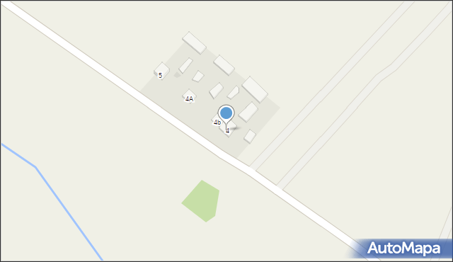 Wielkolas, Wielkolas, 4, mapa Wielkolas