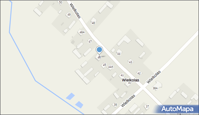 Wielkolas, Wielkolas, 46, mapa Wielkolas