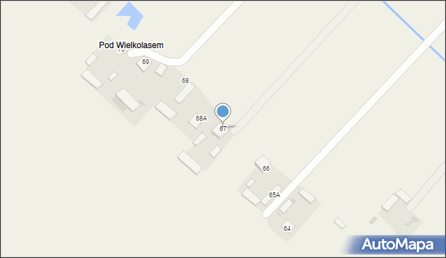 Wielkolas, Wielkolas, 67, mapa Wielkolas