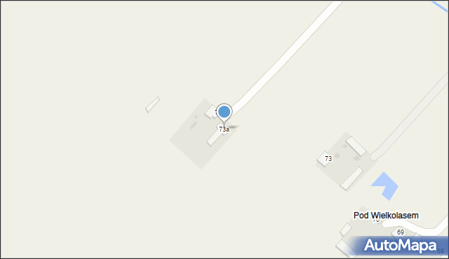 Wielkolas, Wielkolas, 73a, mapa Wielkolas