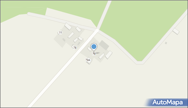 Wielkolas, Wielkolas, 79, mapa Wielkolas
