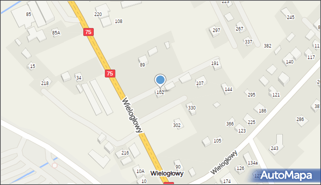 Wielogłowy, Wielogłowy, 102, mapa Wielogłowy